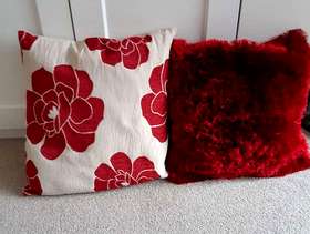 Freecycle Cushions