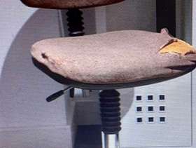 Freecycle Office Chair
