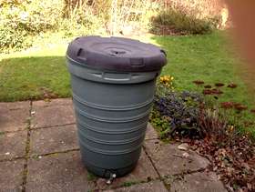 Freecycle Rain barrel