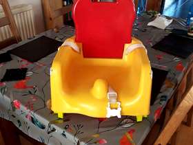 Freecycle Booster Seat