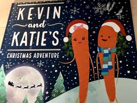 Freecycle Kevin &katie Christmas adventure