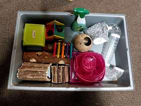 Freecycle Hamster cage, toys and woodshavings