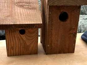 Freecycle Quality handmade Bird boxes
