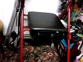 Freecycle Trolleyaid