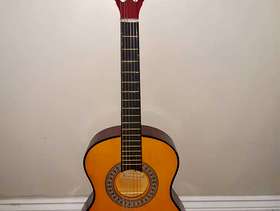 Freecycle Guitar