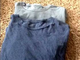 Freecycle Gap shirts