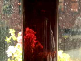 Freecycle Tall glass vase for FREE!