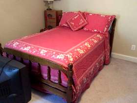 Freecycle Bed- Full