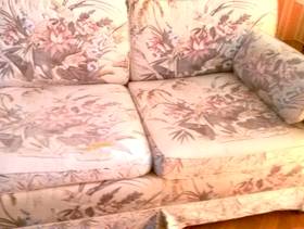 Freecycle Sofa's
