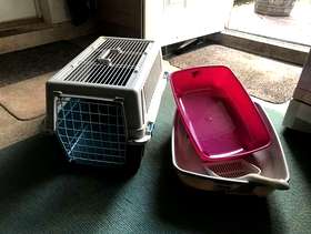 Freecycle Cat carrier and litter trays