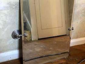Freecycle Wall mirror