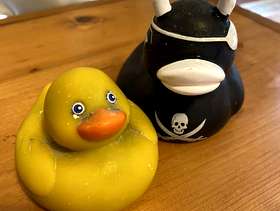 Freecycle Two ducks, one yellow one, one is a goth duck