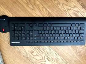 Freecycle Lenovo wireless keyboard & wireless mouse
