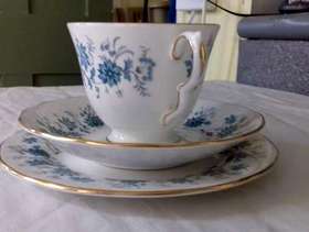 Freecycle Colclo Braganza China