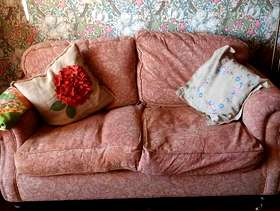 Freecycle Sofa