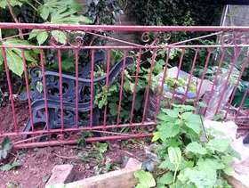 Freecycle Metal gate
