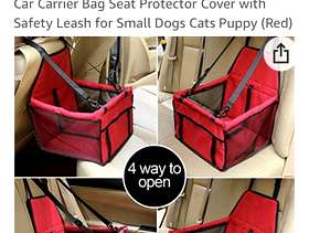 Freecycle Small dog car seat