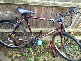 Freecycle Mans bike