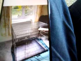 Freecycle Pet cage