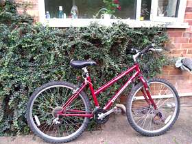 Freecycle Girls/ladies cycle