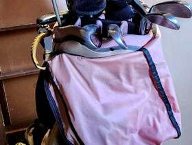 Freecycle Ladies golf clubs