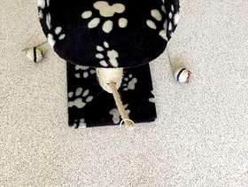 Freecycle Cat scratch mat/bed