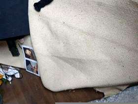 Freecycle Brand new cream carpet cut off