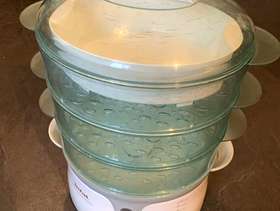 Freecycle Tefel Steamer