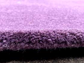 Freecycle Rug - brand new