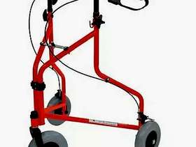 Freecycle Tri Walker