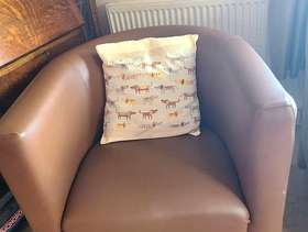 Freecycle Tub chair