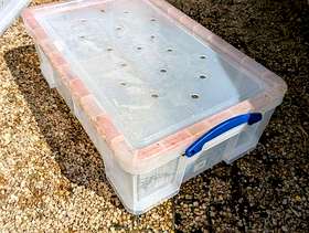 Freecycle Plastic storage boxes