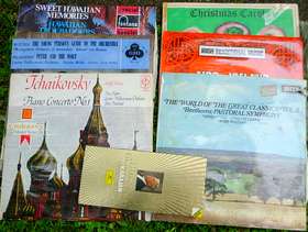 Freecycle Vynl records