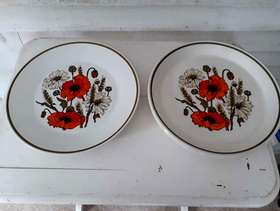 Freecycle J&G Meakin Poppy crockery