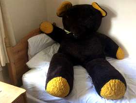 Freecycle Huge teddy bear