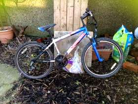Freecycle Junior bike