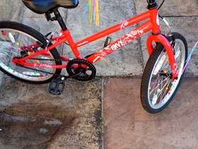 Freecycle Bike