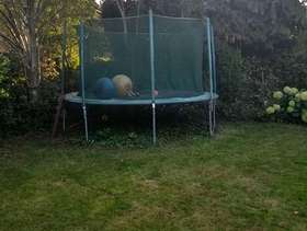 Freecycle Trampoline