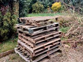 Freecycle Free pallets