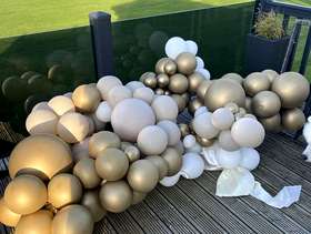 Freecycle Balloon Arch