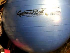 Freecycle Gymnast Ball