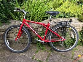 Freecycle Adult Bike