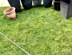 Freecycle Plant pots