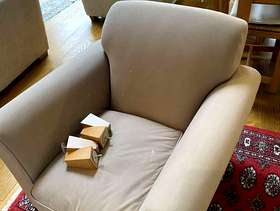 Freecycle Arm chair