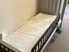 Freecycle Toddler Bed