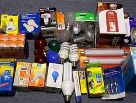 Freecycle Older light bulbs