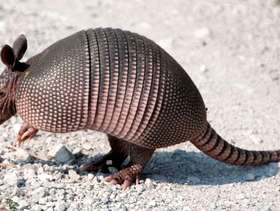 Freecycle Map indicating way to Amarillo.