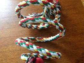 Freecycle Brand new parrot toy