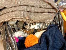 Freecycle Big bundle of scarves shawls etc