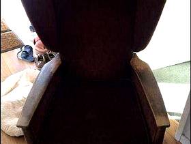 Freecycle High back brown chair